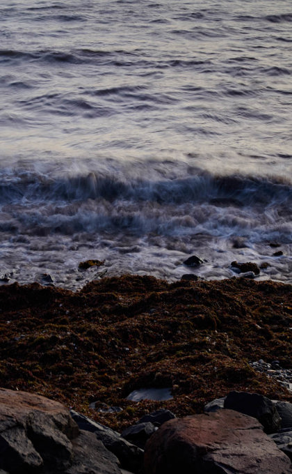 looking directly at a wave crashing beneath onto grey rocks and seaweed, the sea is slightly blurry